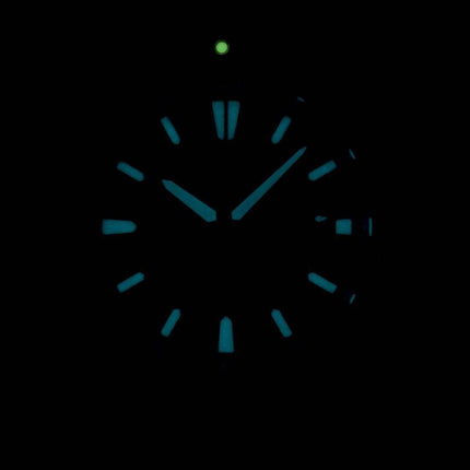 De Ciudadano Promaster Eco-Drive Diver 200M BN0190-15E Watch de Men