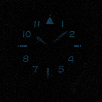 Reloj Citizen Promaster Nighthawk BX1010-11L Hora mundial Eco-Drive 200M Hombre