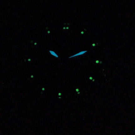 Ciudadano negro de cuarzo Dial 09E EQ0560 reloj de mujeres