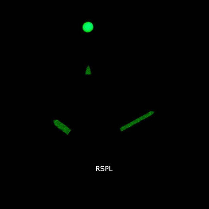 Michael Kors Bayville MK8727 Reloj cronógrafo de cuarzo para hombre