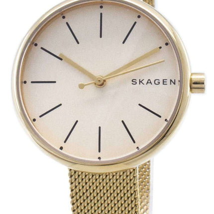 Skagen Signatur cuarzo SKW2614 Watch de Women