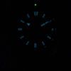 Ciudadano Promaster Marina Scuba Diver 200M automática NY0070 - 83L reloj de Men
