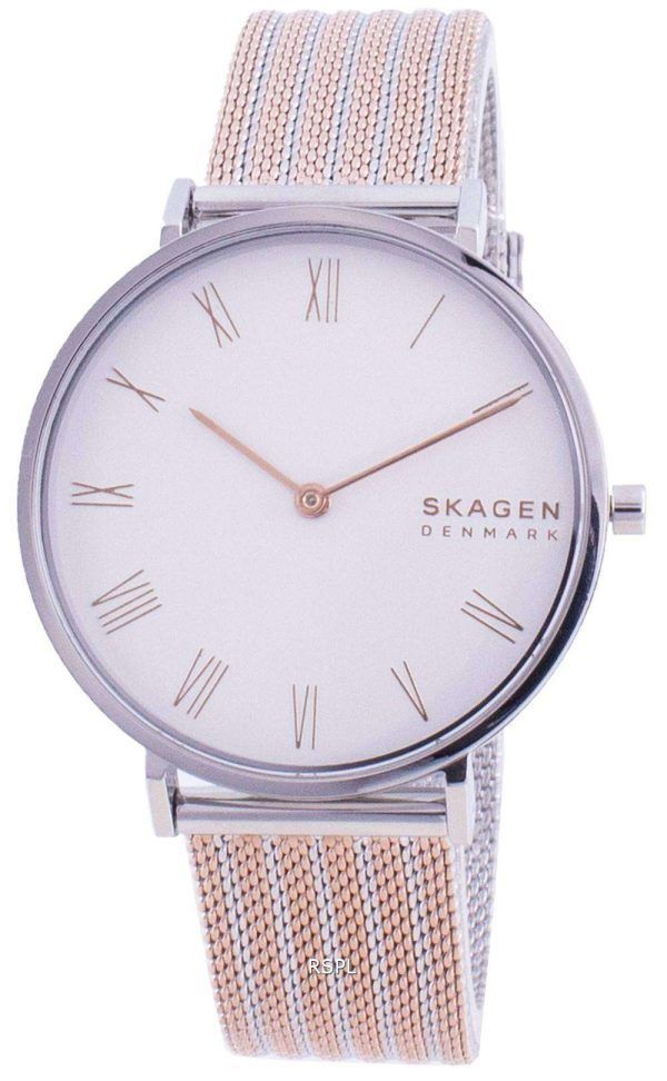 Skagen Hald SKW2815 reloj de cuarzo para mujer
